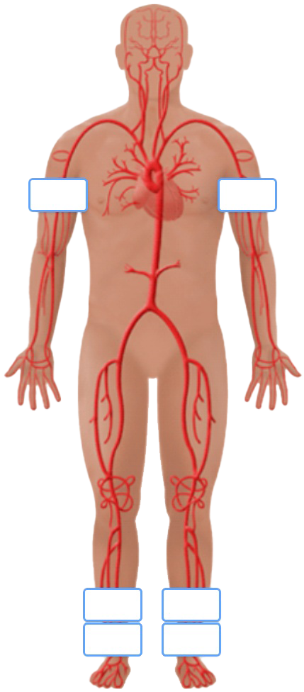 Single Level ABI Schematic
